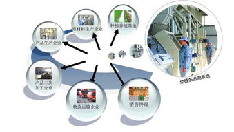 健康食品質(zhì)量追溯系統(tǒng)定制開(kāi)發(fā) 從程序到系統(tǒng)的全流程解析